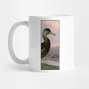 Anas platyrhynchos by Ferdinand von Wright Mug